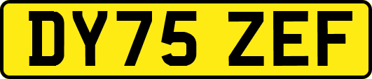 DY75ZEF