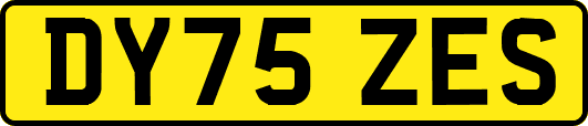DY75ZES