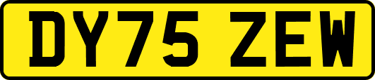 DY75ZEW
