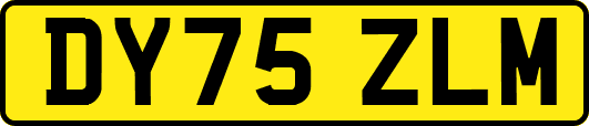 DY75ZLM