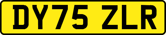 DY75ZLR