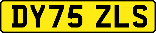 DY75ZLS