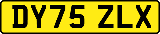 DY75ZLX