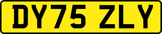 DY75ZLY