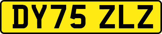 DY75ZLZ