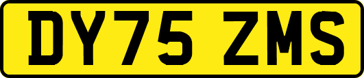 DY75ZMS