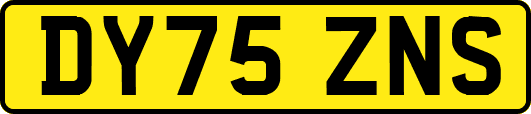 DY75ZNS
