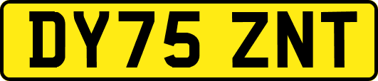 DY75ZNT