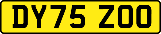 DY75ZOO