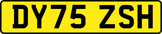 DY75ZSH
