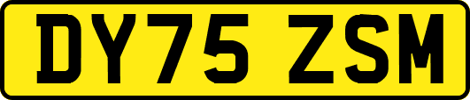 DY75ZSM
