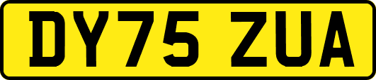 DY75ZUA