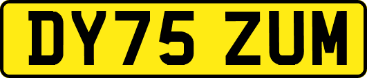 DY75ZUM