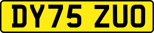 DY75ZUO