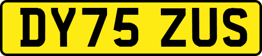 DY75ZUS