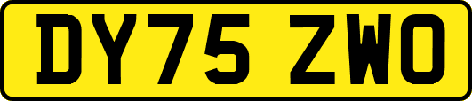 DY75ZWO