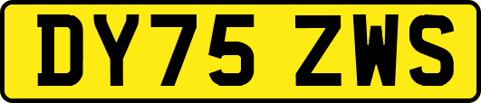 DY75ZWS