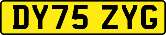 DY75ZYG