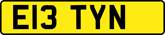 E13TYN