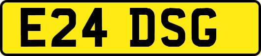 E24DSG