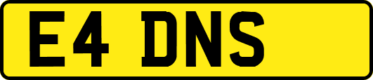 E4DNS