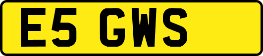 E5GWS