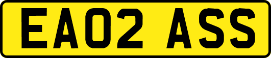 EA02ASS