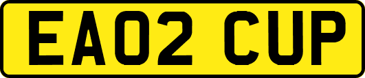 EA02CUP