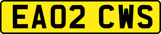 EA02CWS
