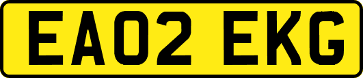 EA02EKG