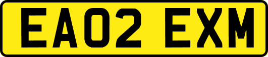 EA02EXM