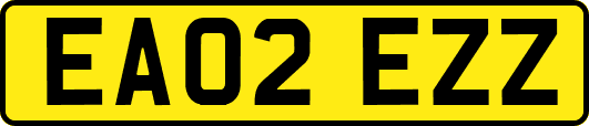 EA02EZZ