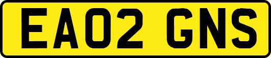 EA02GNS