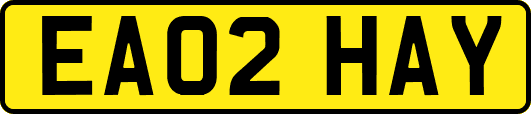 EA02HAY