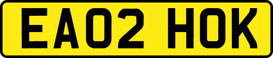 EA02HOK