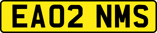 EA02NMS