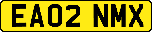 EA02NMX