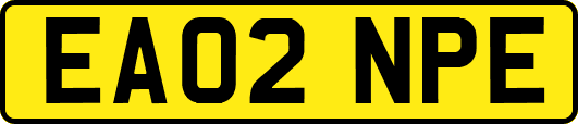 EA02NPE