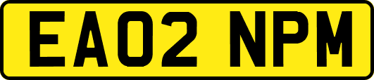 EA02NPM