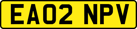 EA02NPV
