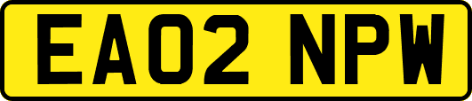 EA02NPW