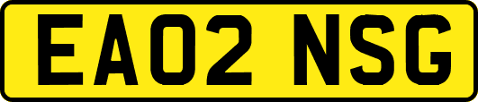 EA02NSG