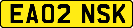 EA02NSK