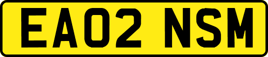 EA02NSM