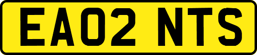 EA02NTS
