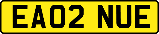 EA02NUE