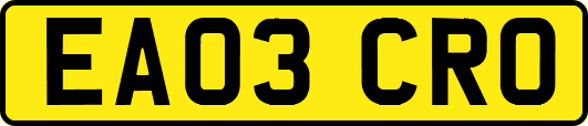 EA03CRO