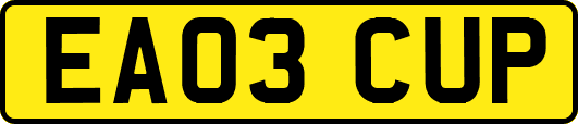 EA03CUP