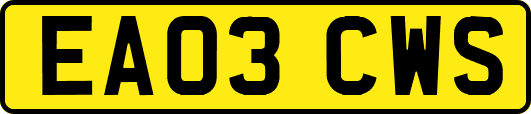 EA03CWS