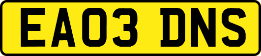 EA03DNS